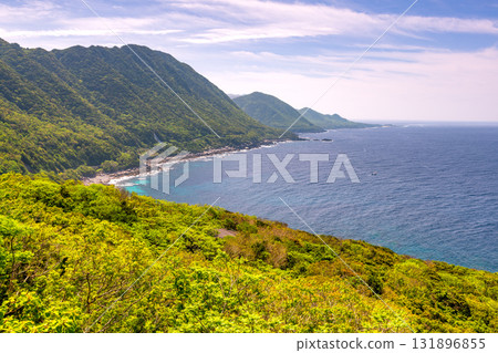 世界自然遺產屋久島西部林道地區，新綠色閃耀 131896855