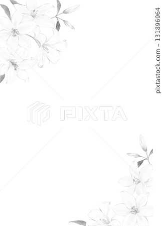 白百合框架單色插圖哀悼明信片 白百合框架單色插圖哀悼明信片 131896964