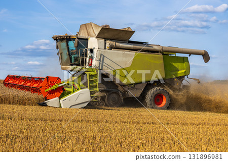 A large harvester is efficiently collecting crops in a golden field under a clear blue sky, marking the harvest season's peak A large harvester is efficiently collecting crops in a golden field under a clear blue sky, marking the harvest season's peak 131896981