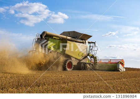 Heavy machinery is busy gathering harvested crops in the field under a clear blue sky and bright sunlight 131896984
