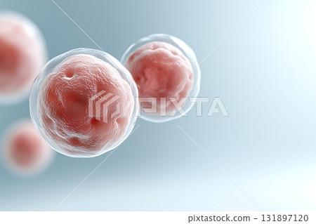 Close-up View of Microscopic Pink Cells with Soft Focus Against a Light Background 131897120