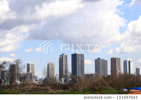 Musashi Kosugi skyscrapers distant view from Hiyoshi Park 131897683