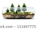 Lush Green Terrarium with Pine Trees and Natural Rocks in Glass Container 131897775
