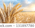 Golden Wheat Field at Sunset with Soft Light and Serene Atmosphere in Nature's Landscape 131897780