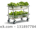 Fresh greens on a mobile cart with two levels for easy transportation and display of plants 131897784