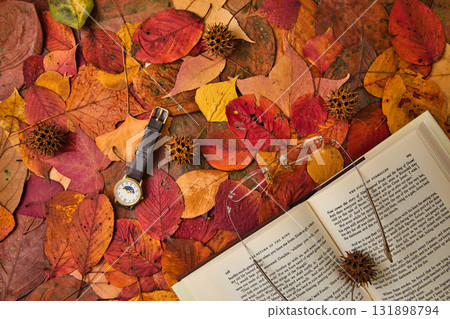 Fallen leaf frame 131898794