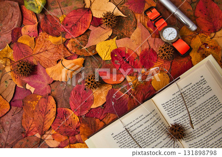 落葉框架 131898798