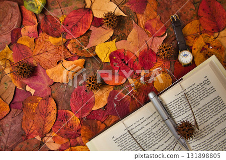 落葉框架 131898805