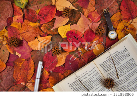 Fallen leaf frame 131898806