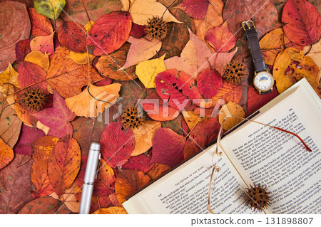 Fallen leaf frame Fallen leaf frame 131898807