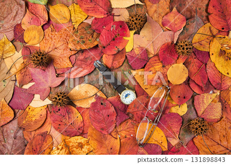 落葉框架 131898843