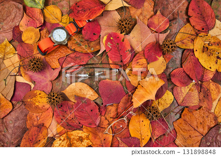 落葉框架 131898848