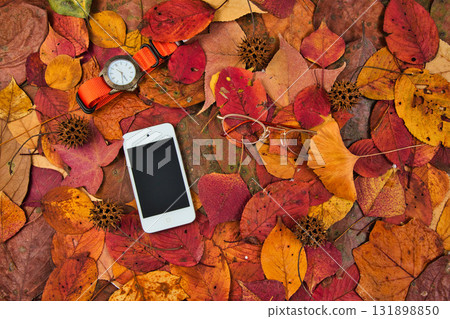 落葉框架 131898850