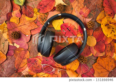 Fallen leaf frame Fallen leaf frame 131898946