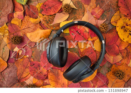 Fallen leaf frame Fallen leaf frame 131898947