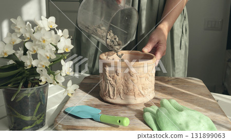 Woman pours expanded clay drainage into new terracotta flower pot on table, tending to plant at home on sunny day. Garden tools. Interior design. 131899063