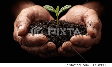 Hands holding soil with a young plant, symbolizing growth, potential, and the nurturing care for new life. Dark background. Focus on hope and new beginnings. 131899085