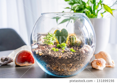 Completed terrarium with cacti, stones and decorative elements in a glass container. Concept of eco-friendly home decor, natural design and handcrafted botanical arrangement. Completed terrarium with cacti, stones and decorative elements in a glass container. Concept of eco-friendly home decor, natural design and handcrafted botanical arrangement. 131899198