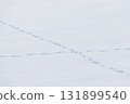 雪地裡的動物腳印 131899540