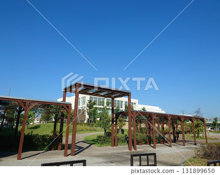 blue sky and a spacious grassy park 131899650