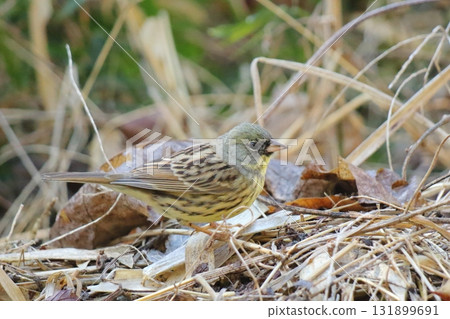 A who got倒在地上 A who got倒在地上 131899691