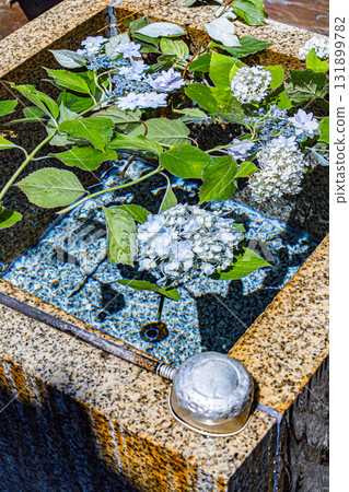 Hydrangea floating in an aquarium Hydrangea floating in an aquarium 131899782