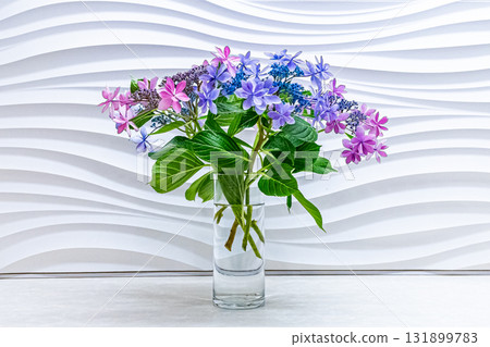 Hydrangea flowers in a glass vase 131899783