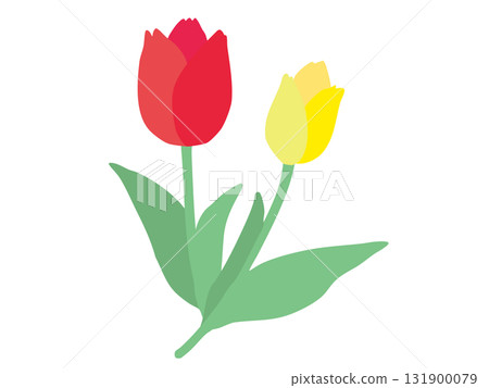 Tulip without main line Tulip without main line 131900079