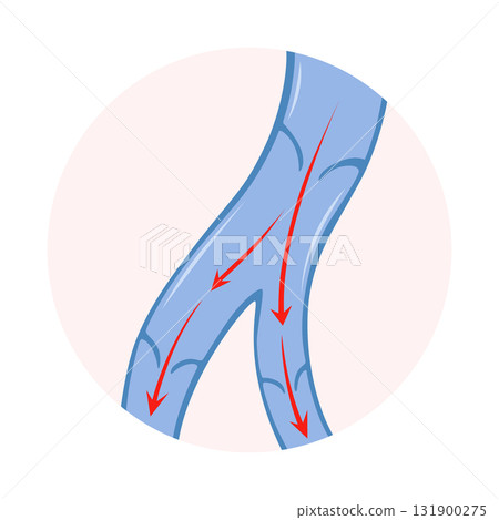 Varicose veins. Blue blood vessel visible through the skin. Vascular disease diagnostic and treatment. Venous insufficiency medical Varicose veins. Blue blood vessel visible through the skin. Vascular disease diagnostic and treatment. Venous insufficiency medical 131900275
