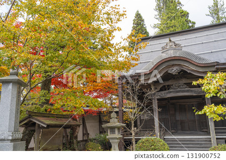 Koyasan Henjokoin Temple Autumn leaves Koyasan Henjokoin Temple Autumn leaves 131900752