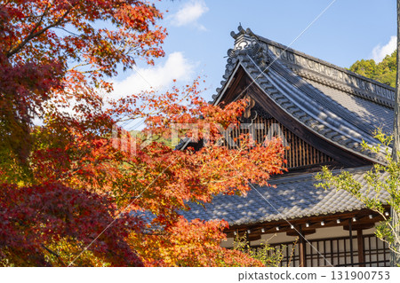 Nanzenji Temple Specialized Training Center Autumn Leaves Nanzenji Temple Specialized Training Center Autumn Leaves 131900753