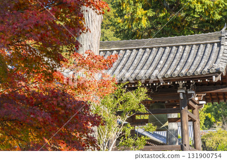 Nanzenji Temple Specialized Training Center Autumn Leaves 131900754
