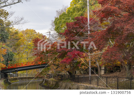 秋葉政宗橋、琵琶湖疏水 131900756
