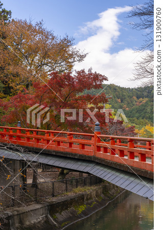 Autumn leaves and Masamune Bridge, Lake Biwa Canal 131900760