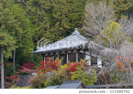 Honkokuji Temple - All Sutra Repository - Autumn leaves season 131900792