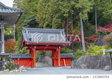 Honkokuji Temple Kaiunmon Gate (Red Gate) Autumn foliage season Honkokuji Temple Kaiunmon Gate (Red Gate) Autumn foliage season 131900793