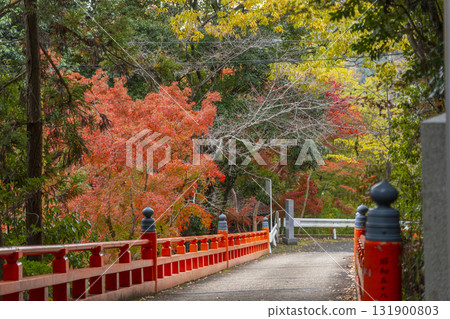 秋葉政宗橋、琵琶湖疏水 131900803