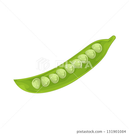 Illustration of green beans  131901084