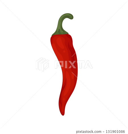 Illustration of red chili  131901086