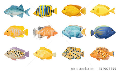 Colorful Collection of Various Fish Species Perfect for Educational and Decorative Purposes in Aquatic Environments Colorful Collection of Various Fish Species Perfect for Educational and Decorative Purposes in Aquatic Environments 131901155