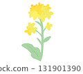 Rape blossoms without main lines 131901390
