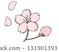 Cherry Blossoms	 131901393