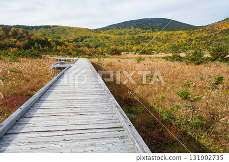 Jododaira is colored by yellow leaves 131902735