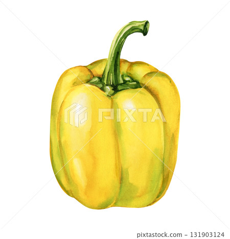 Yellow bell pepper watercolor painting ripe vegetable food illustration healthy organic kitchen art isolated on white Yellow bell pepper watercolor painting ripe vegetable food illustration healthy organic kitchen art isolated on white 131903124