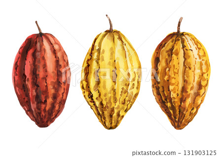 Watercolor Cocoa Pods Set. Red, Yellow and Brown Cacao Fruit Tropical Illustration for Chocolate and Botanical Design 131903125
