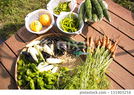 Freshly harvested summer vegetables 131903258