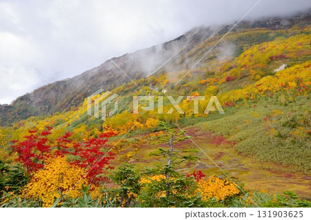 Autumn foliage scenery in the mountains at Tsugaike Nature Park Autumn foliage scenery in the mountains at Tsugaike Nature Park 131903625