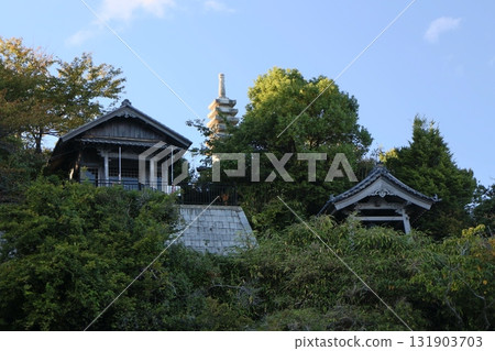 琵琶湖多景島 琵琶湖多景島 131903703