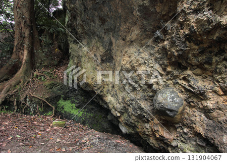 Maehara's inconsistency 131904067