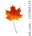 An autumn maple leaf isolated. A yellow and red cutout maple leaf. 131904174